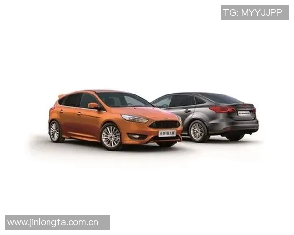 福克斯独领风骚带队取胜展现出超凡价值与领导力 福克斯独领风骚带队取胜展现出超凡价值与领导力